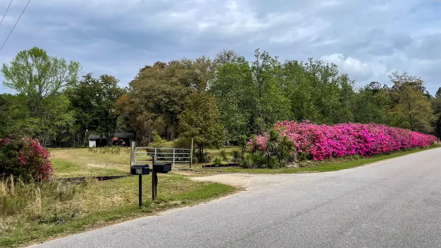 0 Norris Drive, Walterboro, SC 29488 - #2