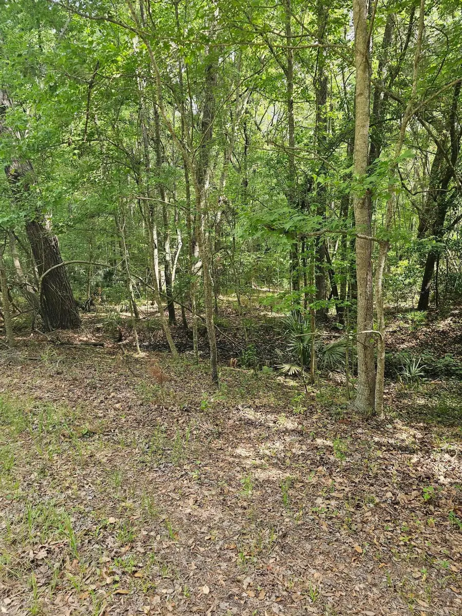 3910 Benjamin Road, Johns Island, SC 29455 - Image #2