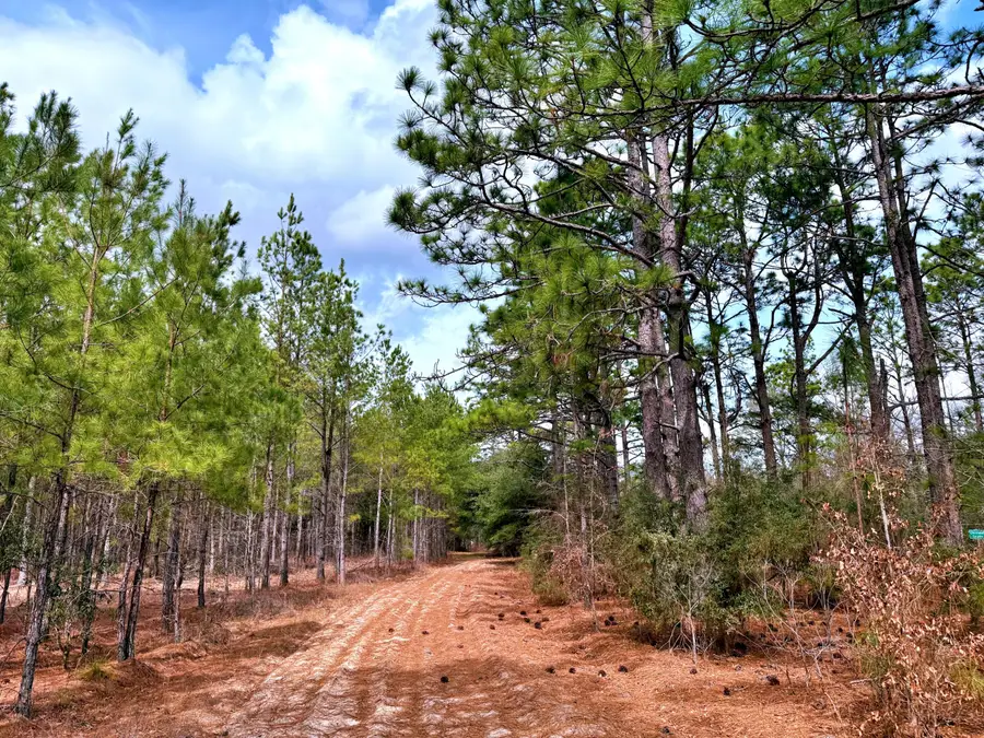 2400 River Road, Greeleyville, SC 29056 - #3