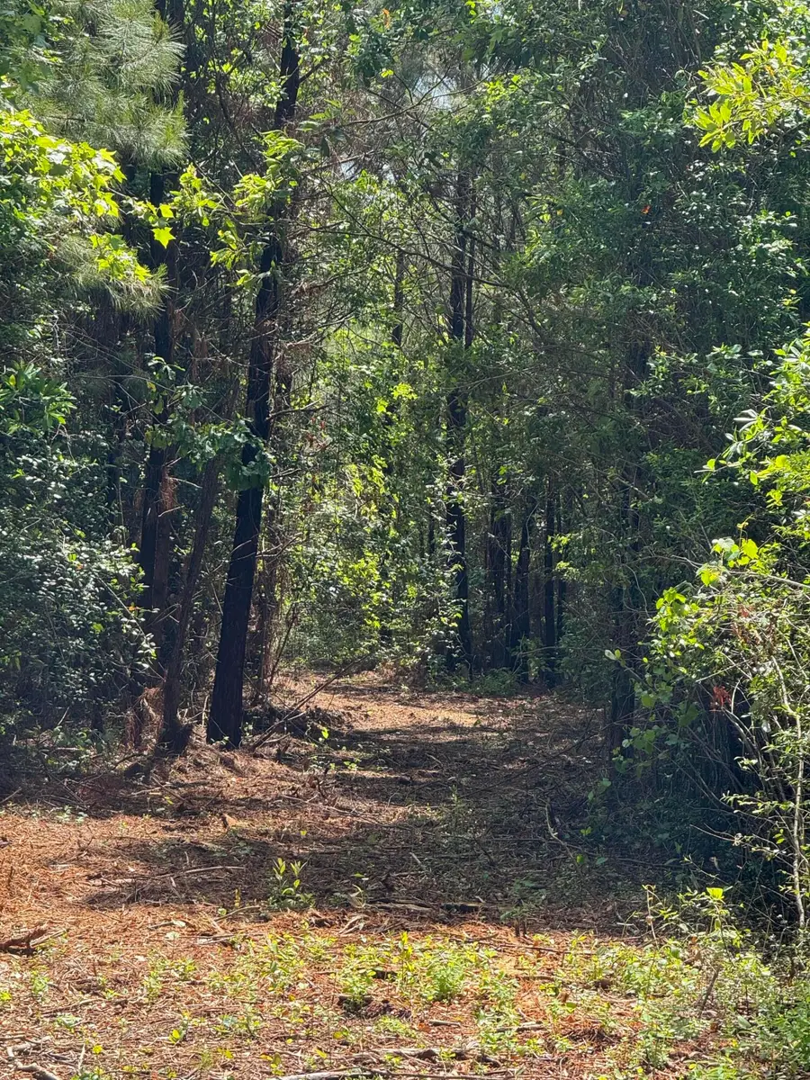 1-F Mt Carmel Road, Walterboro, SC 29488 - #3