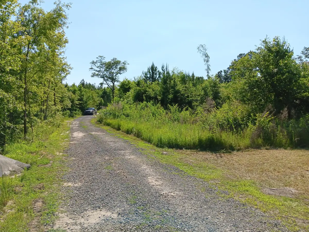 0 Primus Drive Drive, Saint George, SC 29477 - #1