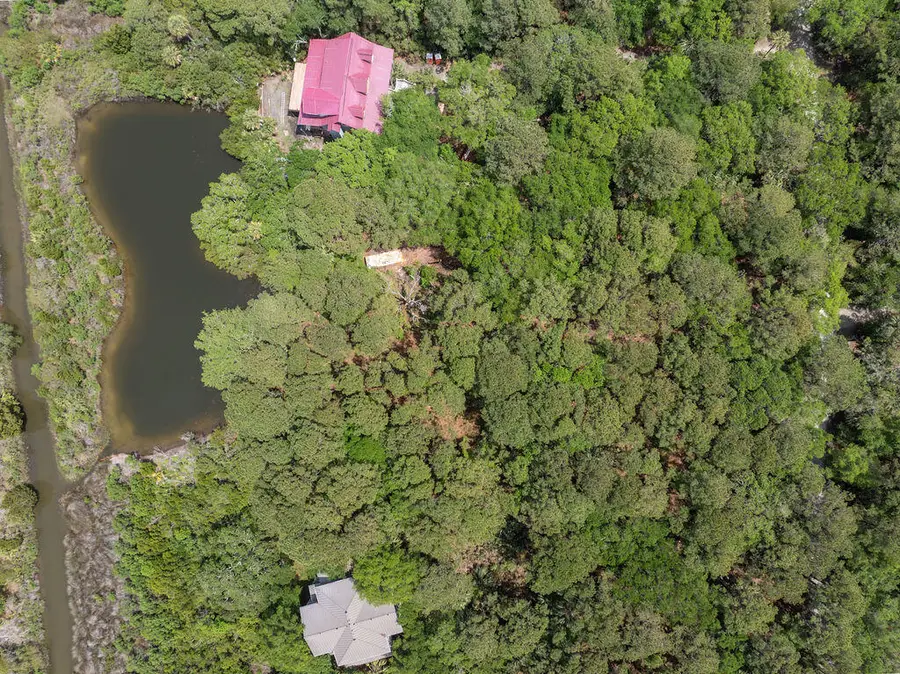 260 Pelican Flight Drive #Lot 76, Dewees Island, SC 29451 - Image #3