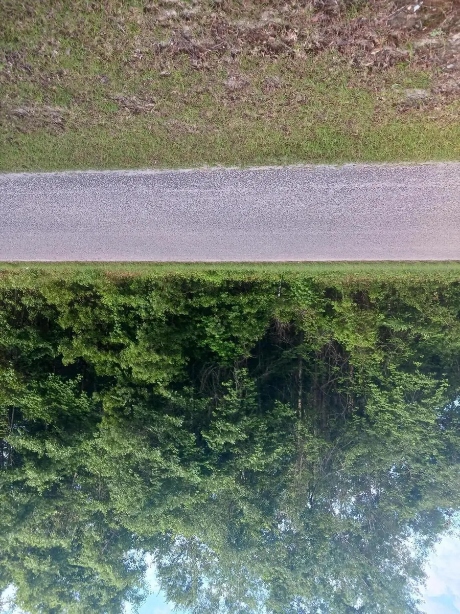 0 Fox Field Road, Walterboro, SC 29488 - #2