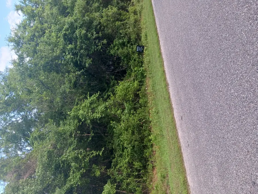 0 Fox Field Road, Walterboro, SC 29488 - #3