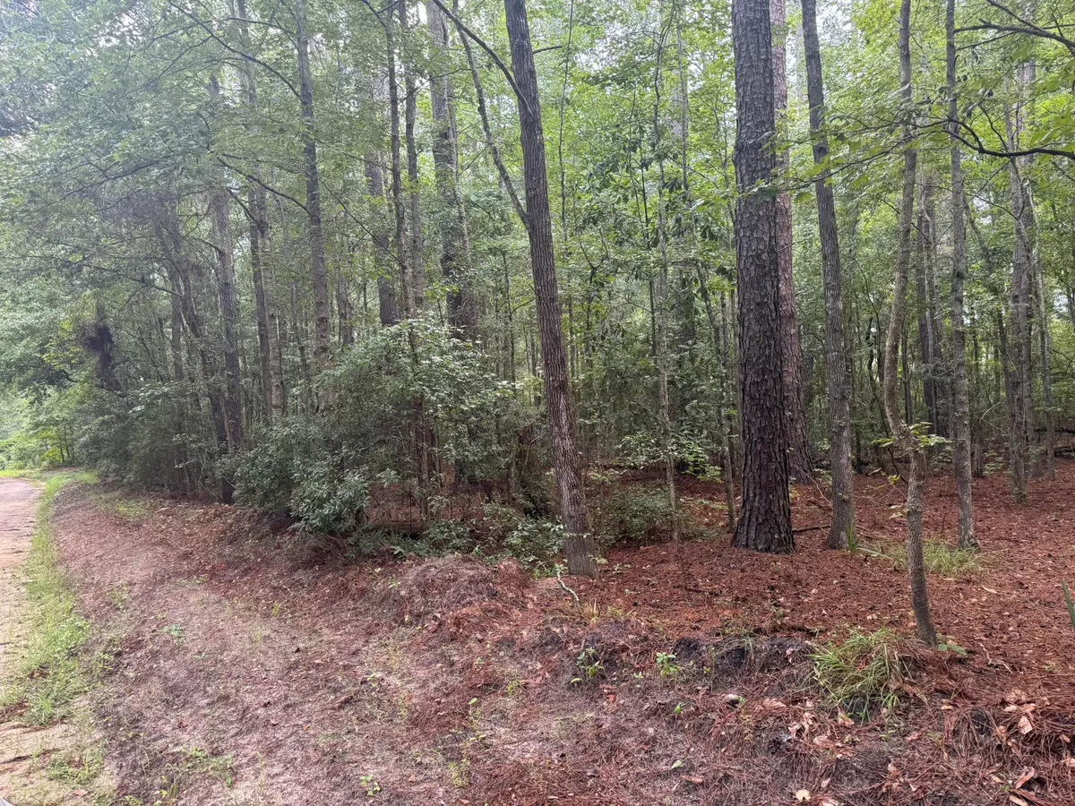 00 Charles Street, Varnville, SC 29944 - #1