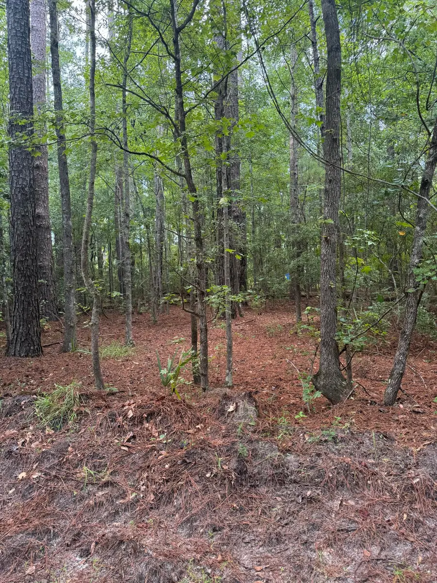 00 Charles Street, Varnville, SC 29944 - #2