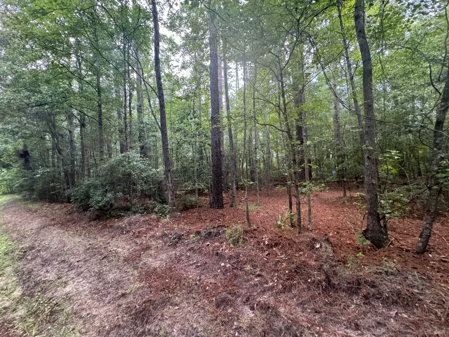 00 Charles Street, Varnville, SC 29944 - #3