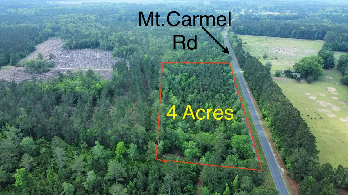 1-A Mt. Carmel Road, Walterboro, SC 29488 - #1