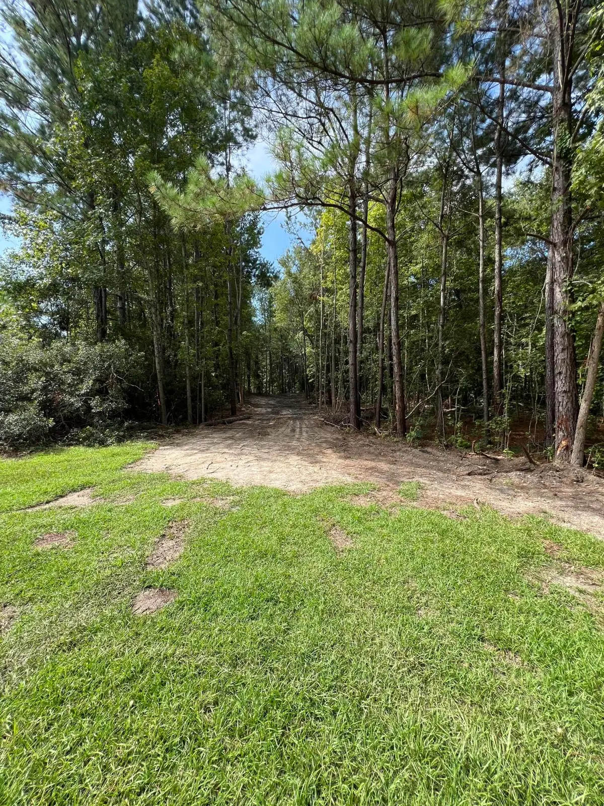Lot 7 Wisteria Falls Trail, Saint Stephen, SC 29479 - #1