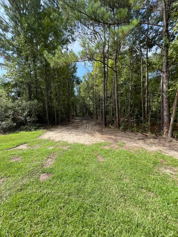 Lot 7 Wisteria Falls Trail, Saint Stephen, SC 29479