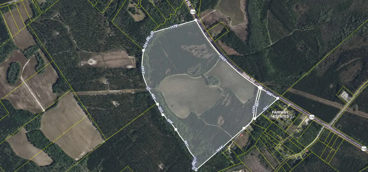 4391 Highway 176, Ridgeville, SC 29472 - #1