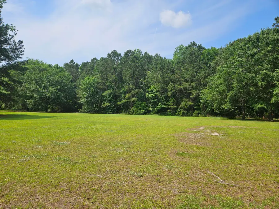 141 Woodlake Drive, Manning, SC 29102 - #2