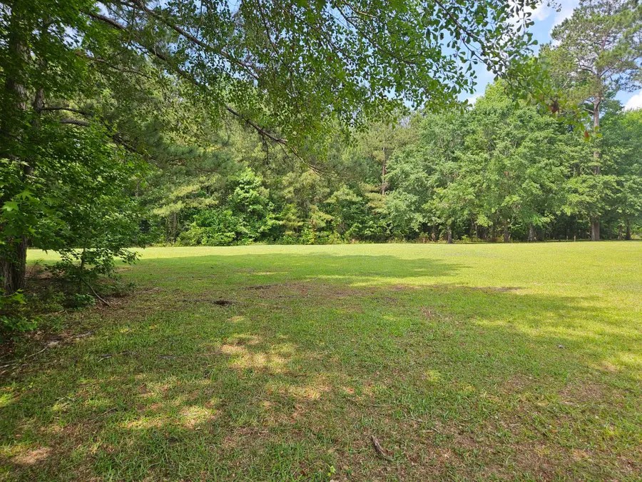 141 Woodlake Drive, Manning, SC 29102 - #3