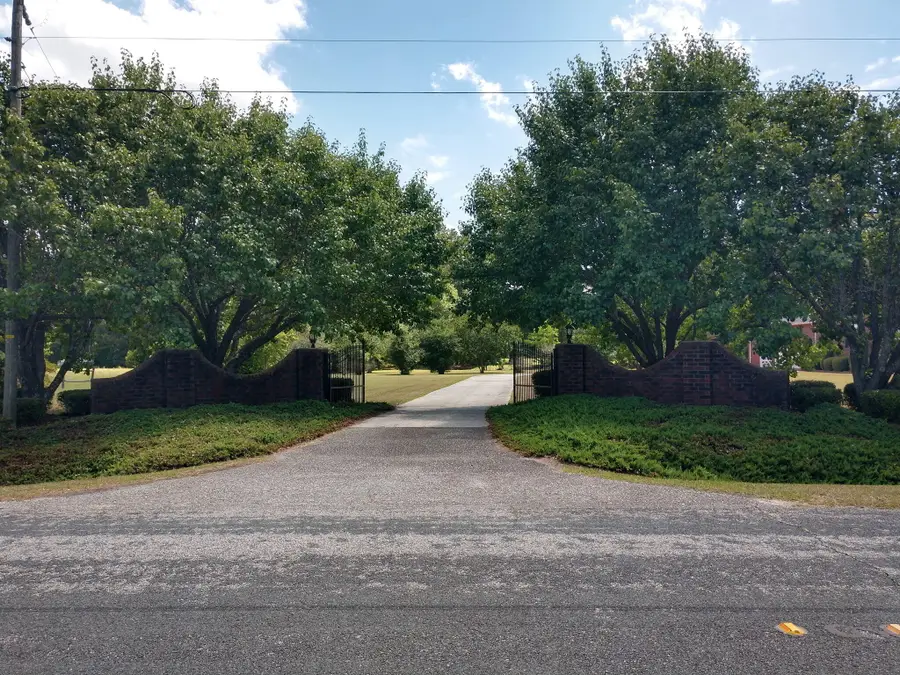 351 Duncan Chapel Road, Harleyville, SC 29448 - #3