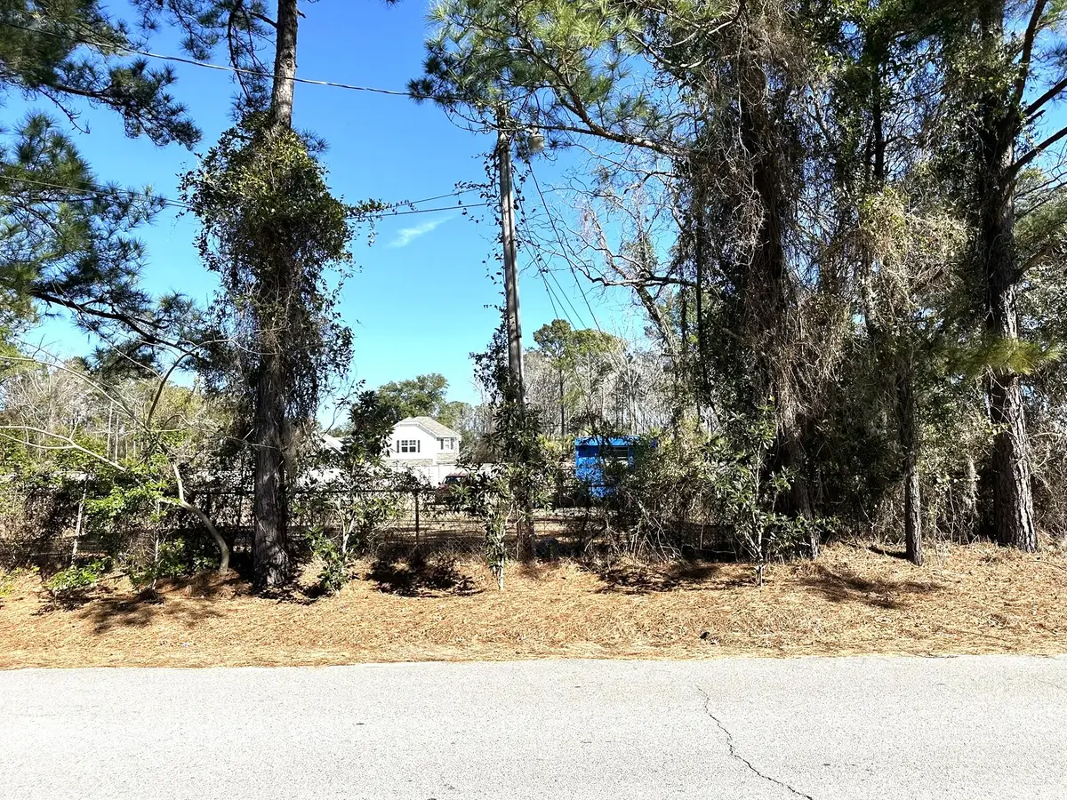 1096 Bee Hive Rd., Awendaw, SC 29429 - Image #1