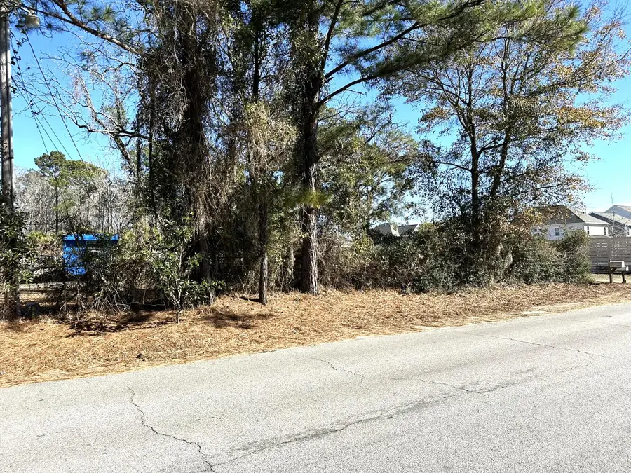 1096 Bee Hive Rd., Awendaw, SC 29429 - Image #3