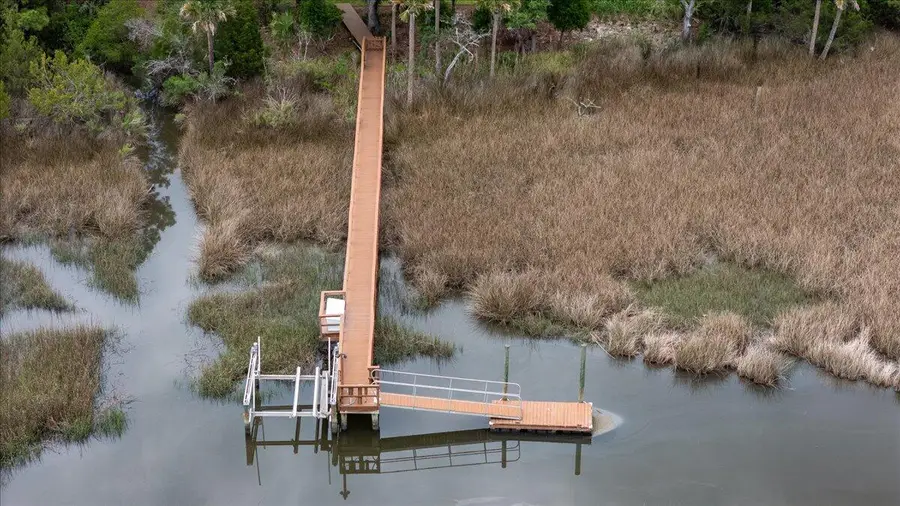 3331 Cottonfield Drive, Mount Pleasant, SC 29466 - Image #3