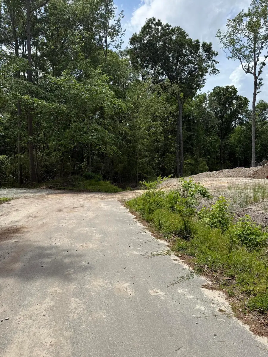 0 Markie Road, Summerville, SC 29483 - Image #3