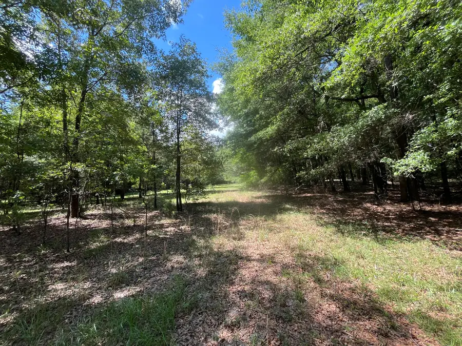 0-A Sniders Highway Interior, Walterboro, SC 29488 - Image #2