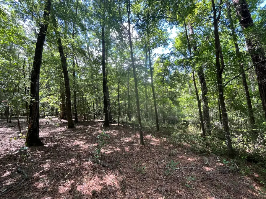 0-A Sniders Highway Interior, Walterboro, SC 29488 - Image #3