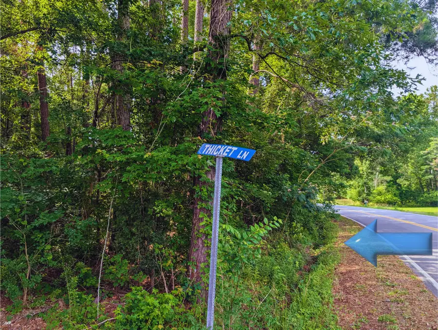 0 Thicket Lane, Saint Stephen, SC 29479 - #3
