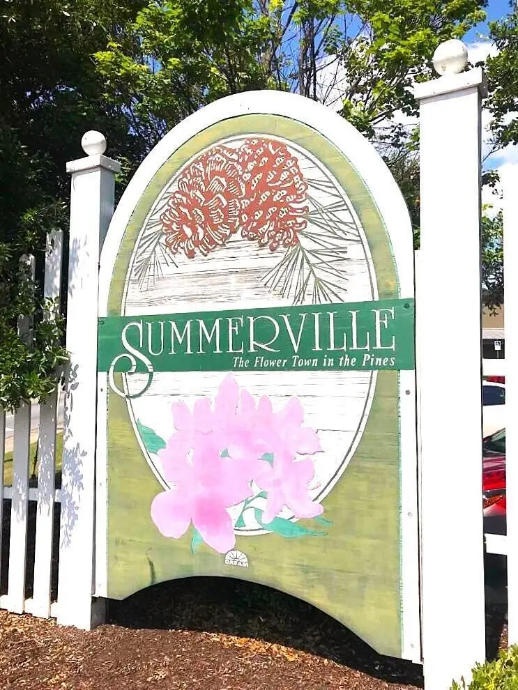 217 Seele Street, Summerville, SC 29485 - #3