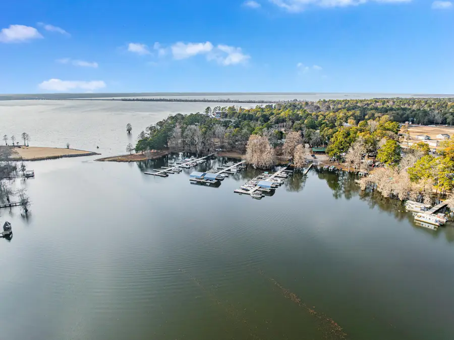 1217 Birch Drive, Summerton, SC 29148 - #3