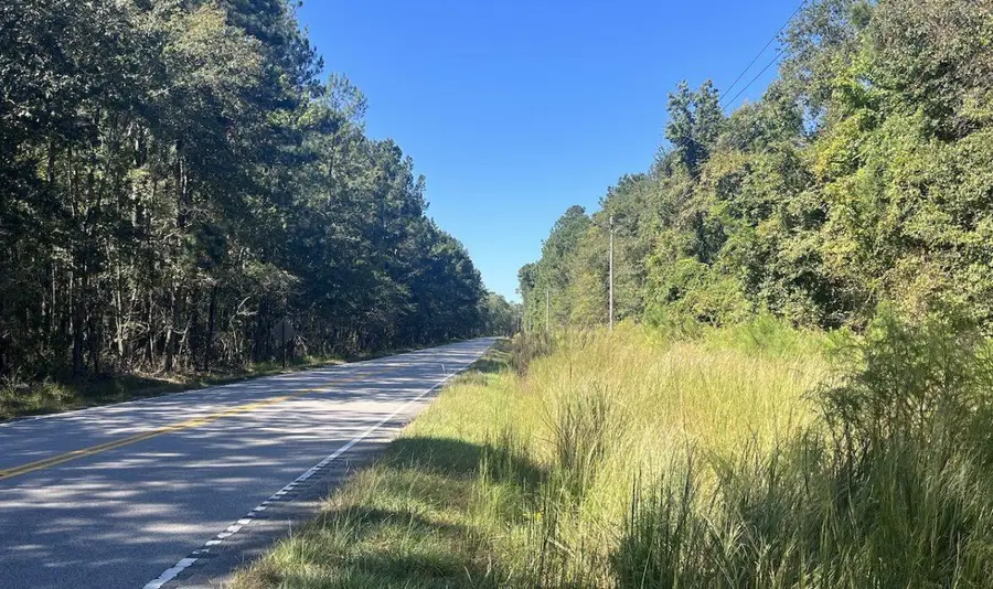 0 Mcleod, Walterboro, SC 29488 - #2