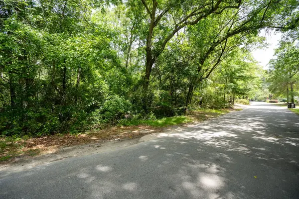 0 Sable Street, Walterboro, SC 29488