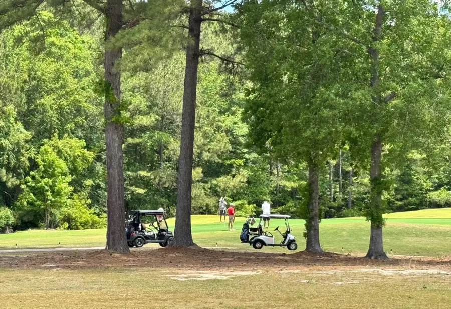 1026 Carolina Way, Manning, SC 29102 - #3