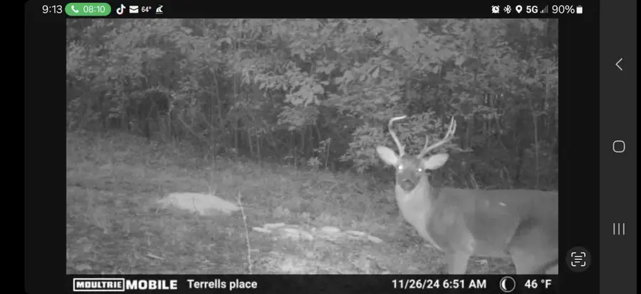 0 Glen Street, Walterboro, SC 29488 - #2