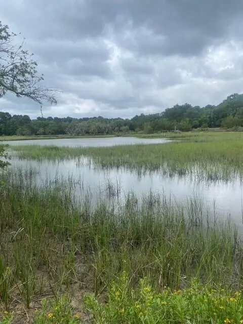 4141 Sc-174, Hollywood, SC 29449 - Image #1