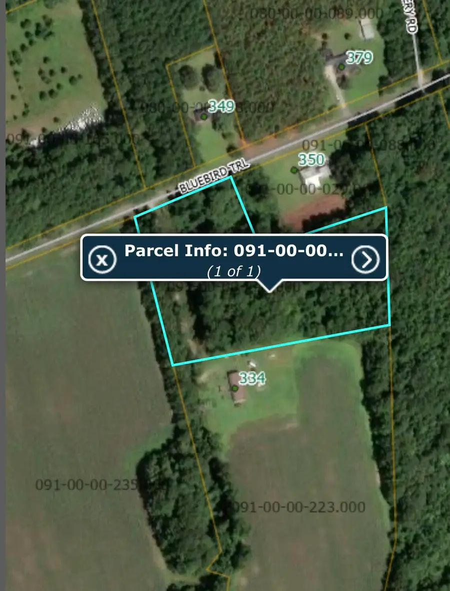 00 Bluebird Trail, Saint George, SC 29477 - Image #2