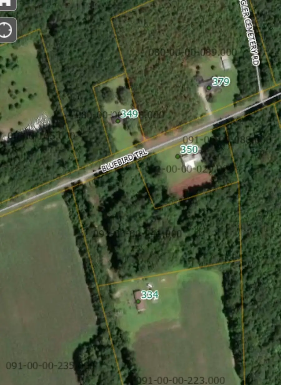 00 Bluebird Trail, Saint George, SC 29477 - Image #3