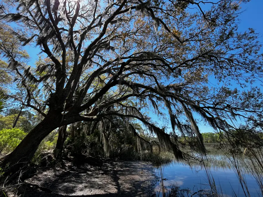 1323 Sea Island Parkway, Saint Helena Island, SC 29920 - Image #2