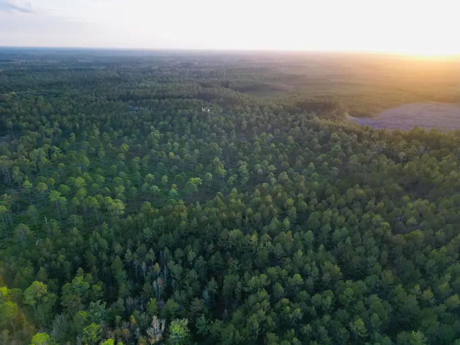 0000 Peniel Road, Walterboro, SC 29488 - Image #2