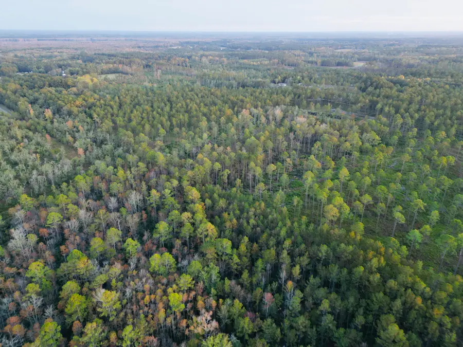 0000 Peniel Road, Walterboro, SC 29488 - Image #3