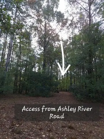 00 Ashley River Road, Summerville, SC 29485 - Image #2