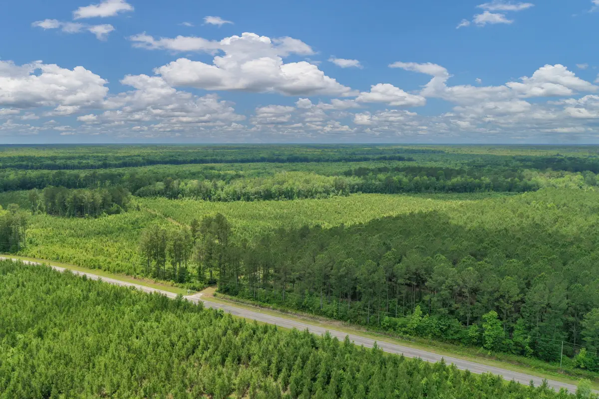 5120 N Brewington Road, Manning, SC 29102 - Image #1