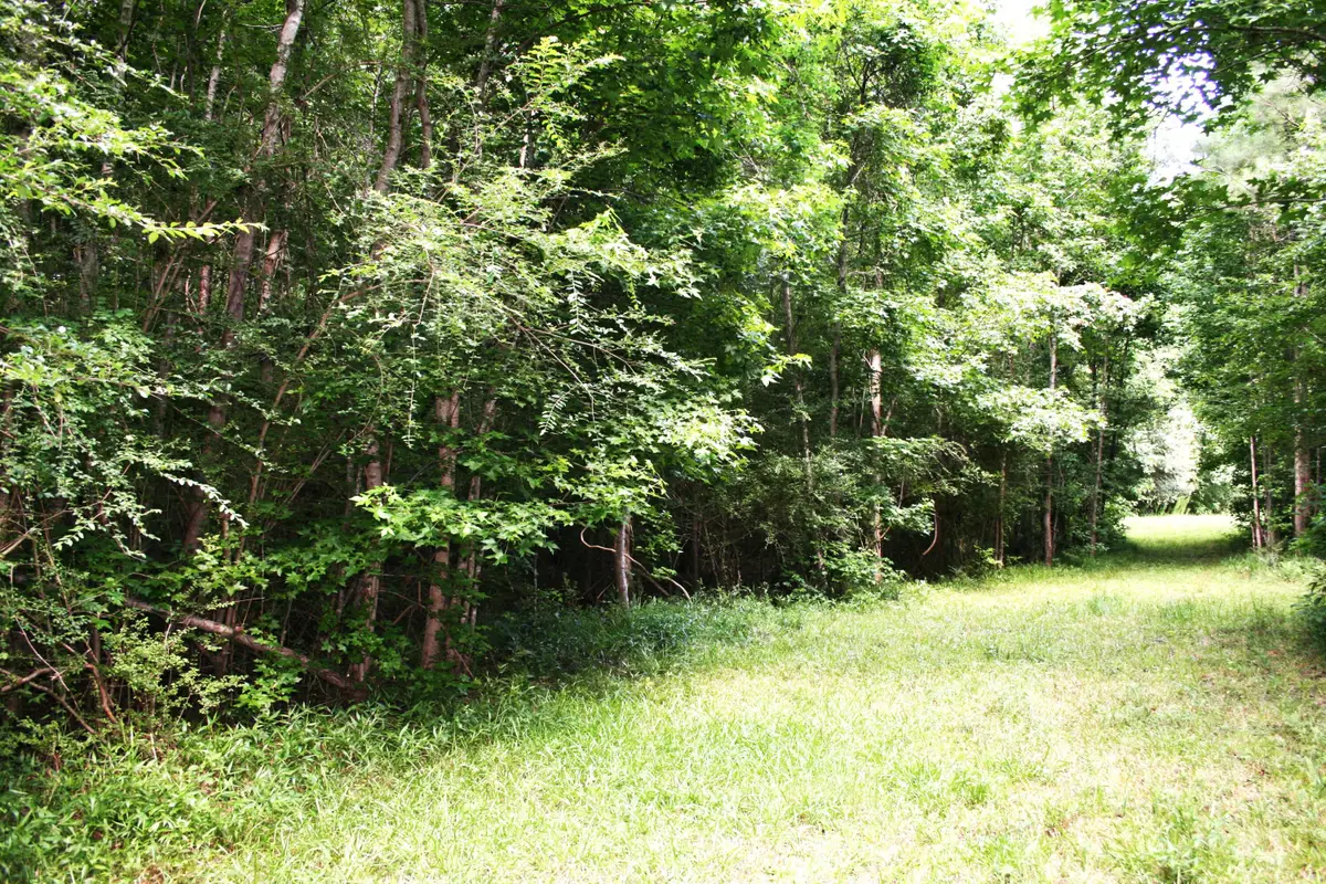 0 Kitfield Road, Moncks Corner, SC 29461 - Image #1