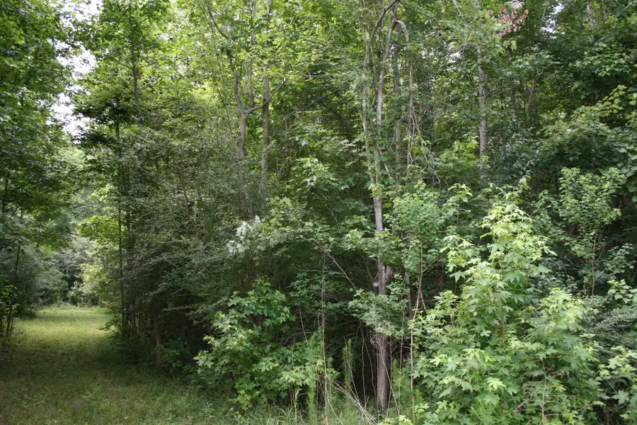 0 Kitfield Road, Moncks Corner, SC 29461 - Image #3