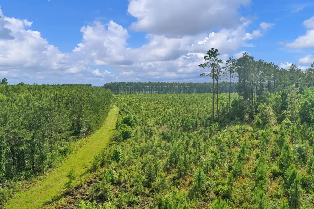 0000 N Brewington Road #3, Manning, SC 29102 - #1