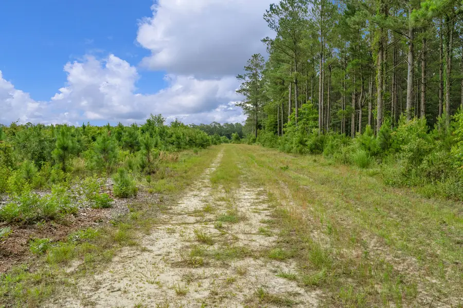 0000 N Brewington Road #3, Manning, SC 29102 - #2