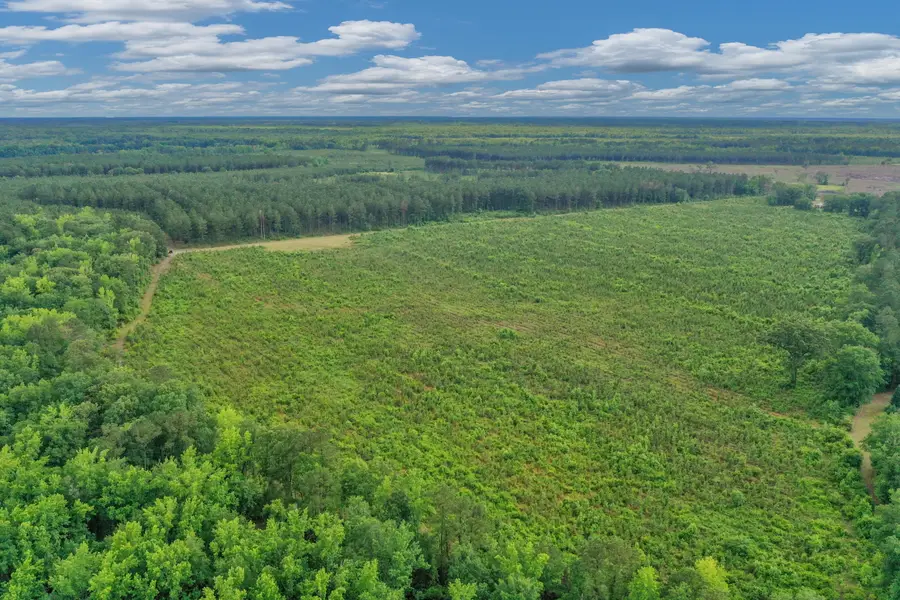 0000 N Brewington Road #3, Manning, SC 29102 - #3