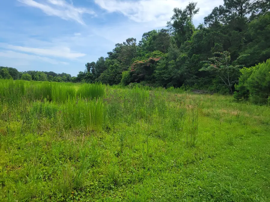 4798 Reggie Road, Johns Island, SC 29455 - Image #2