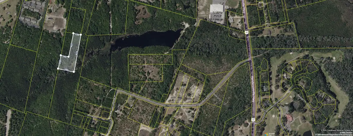 O Cobb Ct Interior Parcel, Walterboro, SC 29488 - #1