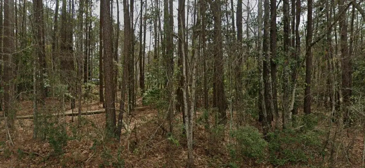 2797 Hilda Drive, Orangeburg, SC 29115 - #1