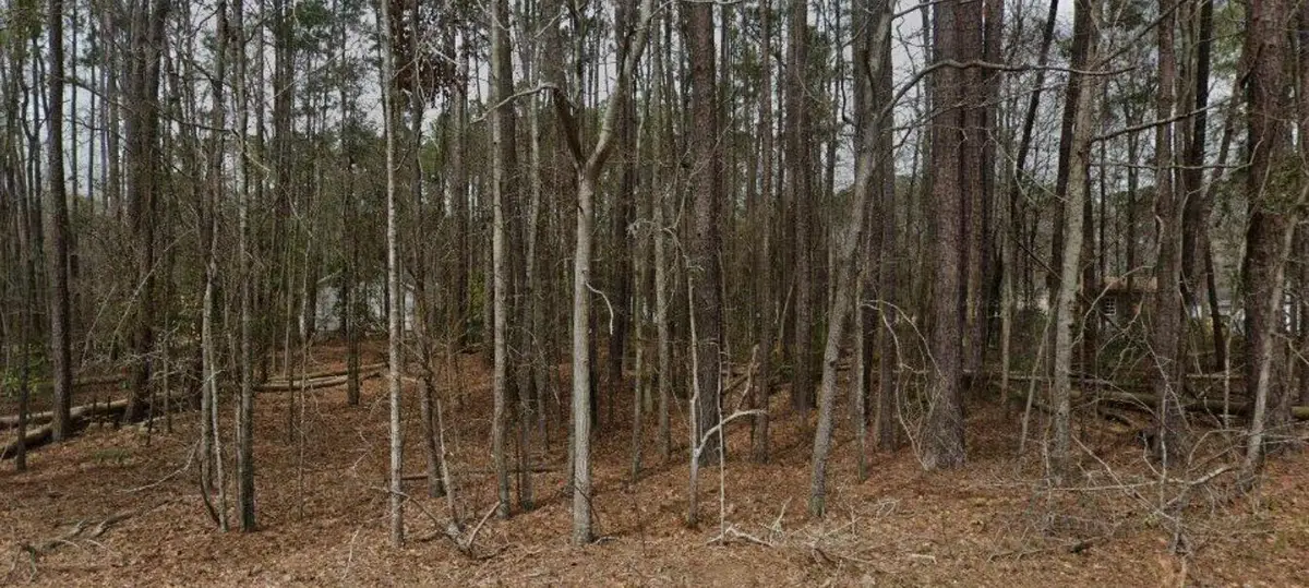 968 Fawn Lane, Orangeburg, SC 29115 - Image #1