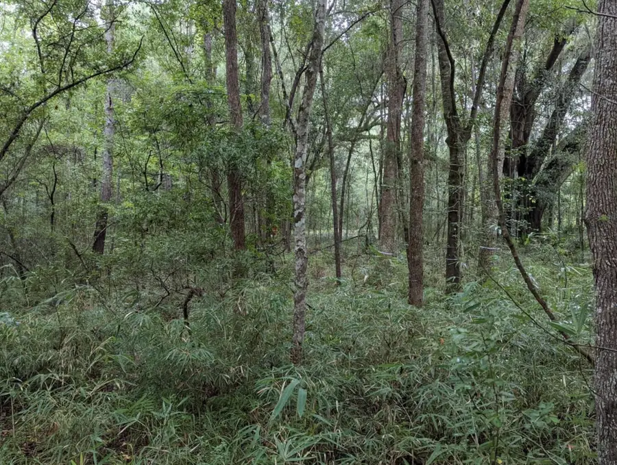 33 Middleton Oaks Road, Charleston, SC 29414 - #3