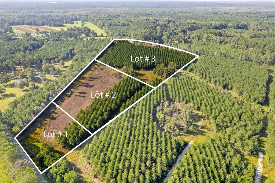 4 Rudd Road, Ridgeville, SC 29472 - #2